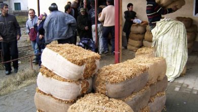 Photo of Gati protestat, prodhuesit kërkojnë 420 denarë për kg
