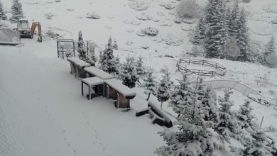 Photo of Nisin reshjet e borës/ Dëbora mbërrin në mjediset urbane – “Idilë” dimërore në ski-qendrat!
