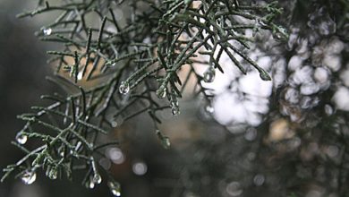 Photo of Moti sot në Maqedoninë e Veriut