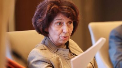 Photo of Siljanovska vendos veto për Dekretin i cili parashikon licencat në çerdhet të jenë në dy gjuhë
