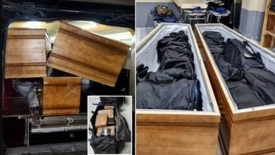 Photo of Policia holandeze gjen kokainë me vlerë 13 milionë euro të fshehura brenda dy arkivoleve