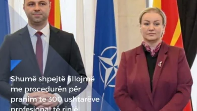 Photo of Zëvendësministrja e mbrojtjes, Elfet Ismaili paralajmëron 300 punësime të reja në Armatë