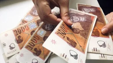 Photo of OEMVP kërkon 500 euro pagë minimale, kontribute më të ulëta dhe shpërndarje të administratës në sektorin privat