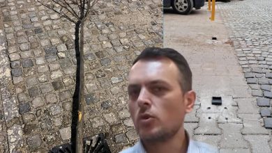 Photo of Grupi i këshilltarëve të BDI-së në Tetovë: Dënojmë ashpër dëmtimin i drunjëve në rrugën e butiqeve në Tetovë