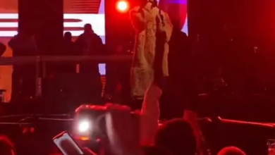 Photo of Dafina Zeqiri me koncert në stadium