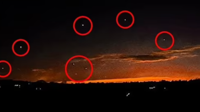 Photo of Dronët “mbulojnë” Amerikën dhe ndezin histerinë, aktivisti pranë Trump i lidh me projektin “Blue Beam”