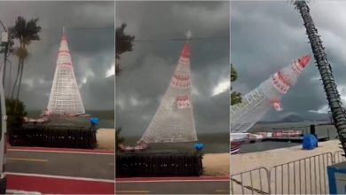 Photo of VIDEO/ Rrëzohet pema gjigante e Krishtlindjes në Brazil, një 21-vjeçar humb jetën ndërsa dy të tjerë plagosen