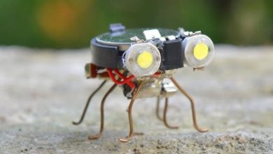 Photo of Bio-robotët ”buburrecë” janë gati/ Pajisja synon të mbledhë të dhëna, në raste të fatkeqësive natyrore