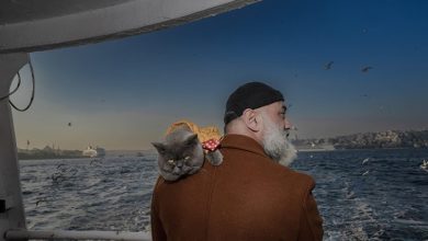 Photo of Reis, maçoku që shëtit Stambollin mbi supet e pronarit të tij