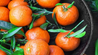 Photo of Ministria e Bujqësisë Në Shqipëri: Mbi 85% e mandarinave shqiptare pa mbetje pesticidesh, vetëm 3 ngarkesa problematike në eksport