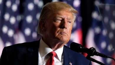 Photo of Trump mbështet vizat për punonjësit e huaj, që duan të punojnë në SHBA