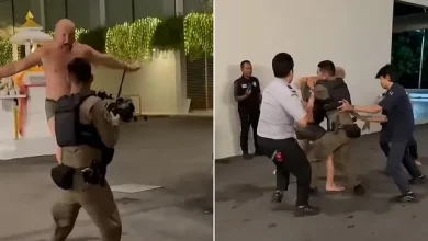 Photo of Video/ Turisti rus lakuriq përleshet me gjashtë policë në ishullin piktoresk