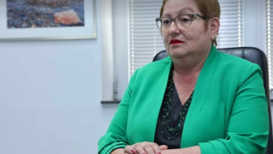 Photo of Janevska: Qeveria angazhohet për sistem arsimor më cilësor dhe gjithëpërfshirës