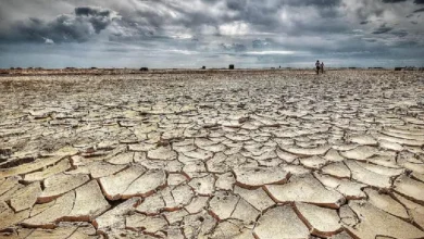Photo of OKB: Thatësia i kushton botës mbi 300 miliardë dollarë çdo vit