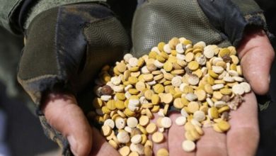 Photo of Qeveria e Assad-it e zhytur në trafik droge, rebelët vijojnë të gjejnë magazina me lëndë narkotike