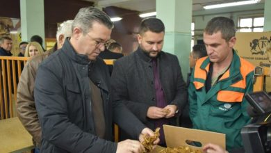 Photo of Tripunovski: Duhani këtë vit është blerë me çmim mesatar prej 374 denarë