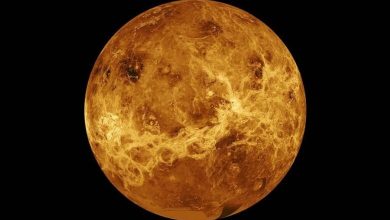 Photo of Shkencëtarët konfirmojnë: Planeti Venus nuk ka pasur kurrë ujë