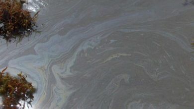 Photo of ‘Një fatkeqësi ekologjike’: Rusia vuan pasojat e derdhjes masive të naftës