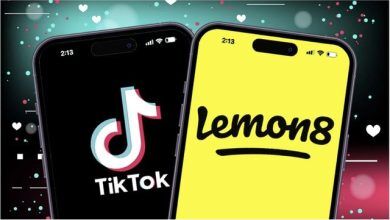 Photo of Lemon8 “zëvendëson” TikTok-un/ Aplikacioni “motër”, fiton popullaritet mes vendimeve për kufizime