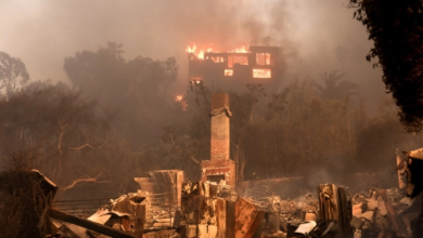 Photo of Zjarr i ri shpërtheu në Los Anxhelos, tani në Holivud Hills