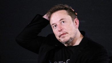 Photo of Elon Musk, AfD dhe politika gjermane! DW: Miliarderi po mbështet hapur partinë Alternativa për Gjermaninë! Debati që ka shkaktuar në Europë!