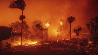 Photo of Los Angeles po përgatitet për zjarre të reja ekstreme, janë paralajmëruar erëra të forta