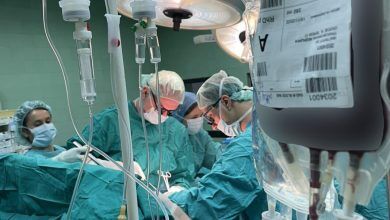 Photo of MSH: Kocka nga një dhurues i vdekur është implementuar në dy gishtat e një fëmije 13 vjeçar në Klinikën e Ortopedisë