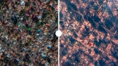 Photo of Imazhet satelitore/ Gjithçka e shkrumbuar, zjarret në Los Anxhelos shkaktojnë viktima dhe dëme kolosale