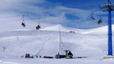 Photo of Pas 12 vitesh organizohet Kupa e Sharrit në skijim! Pjesëmarrës 37 garues nga 9 shtete