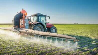 Photo of Përdorimi i pesticideve vazhdon të rritet në mbarë botën