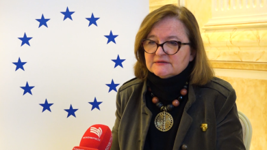 Photo of Loiseau: Serbia ka ndërhyrë në procesin zgjedhor të Kosovës