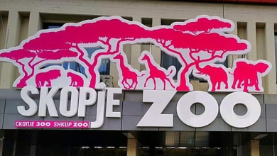 Photo of Kopshti zoologjik Shkup demanton se kanë ngordhur mbi 40 kafshë