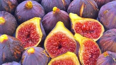 Photo of Fruta me stomak bosh, ja cilat duhet të zgjidhni dhe pse