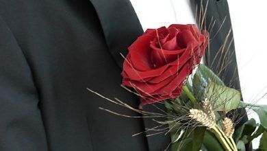 Photo of Dita e Gruas apo një ditë urimesh pa ndikim?!