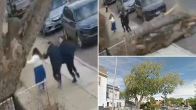 Photo of VIDEO/ Shpëton për mrekulli familja në Nju Jork, pema gjigante ra mbi trotuar: “Zoti na shpëtoi”!