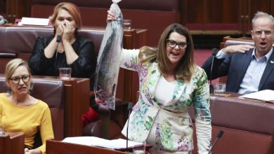 Photo of “Plas” peshku në Parlamentin e Australisë (FOTO)