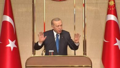 Photo of Erdogan për sulmet e Izraelit: Ata që vrasin fëmijë do të mbyten në gjakun e të pafajshmëve (VIDEO)