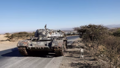 Photo of Pse Etiopia dhe Eritrea janë në prag të një lufte?