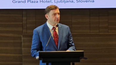 Photo of Osmani për eurointegrimet: Nëse mbajmë zgjedhje të parakohshme këtë vit, hapim dritaren e parë katërvjeçare të reformave