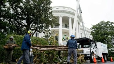 Photo of Trump mbjell ‘MAGAnolia’ në oborrin e Shtëpisë së Bardhë, për të zëvendësuar pemën 200-vjeçare