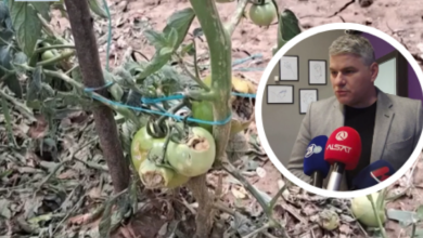 Photo of Bexheti për dëmshpërblimet e bujqve: Bujqit kanë të drejtë, komisioni komunal nuk ka dorëzuar raport