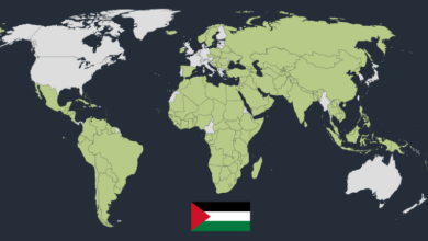 Photo of Cilat vende e kanë njohur Palestinën deri më sot?