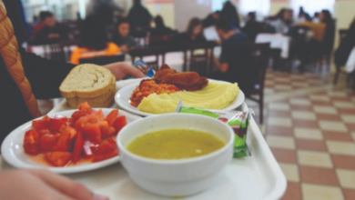 Photo of MASH: Thirrje e re për subvencionimin e racionit të studentëve, ndryshojnë kushtet