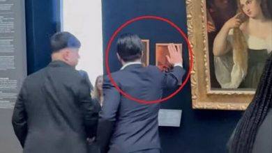 Photo of Portretet e Donald Trump dhe Friedrich Merz vendosen pranë Mona Lizës brenda Luvrit në Paris