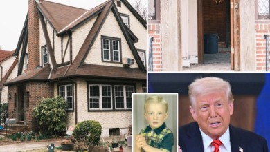 Photo of Shitet shtëpia e fëmijërisë së Donald Trump pasi ‘u pushtua’ nga macet
