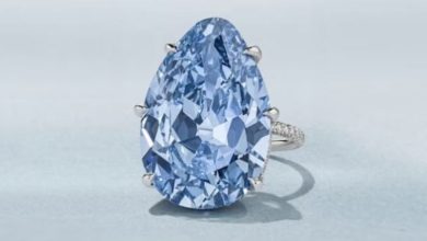 Photo of Diamanti blu ne ankand/ Guri i çmuar, pjesë e trashëgimisë mbretërore të Indisë