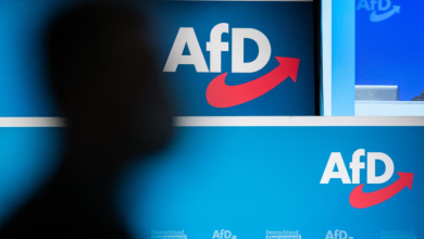 Photo of Gjermania e shpall AfD-në parti jokushtetuese