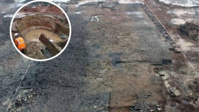 Photo of Arkeologët menduan se këto ishin rrënoja tipike romake, por pastaj gërmuan më thellë dhe bënë një zbulim të habitshëm!