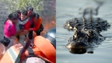 Photo of Aeroplani i tyre u rrëzua në mes të një moçali në Amazonë plot me aligatorë dhe anakonda – ata mbijetuan për 36 orë
