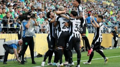 Photo of Botërori i klubeve/ Palmeiras barazon pa gola ndaj Porto-s, fiton Botafogo